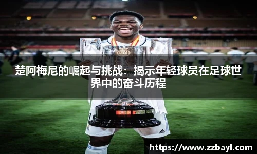 YY易游官网入口